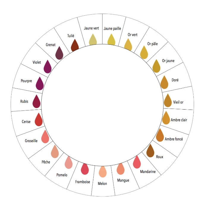 Couleur du vin (Aromaster.com)