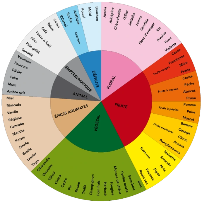 Aromes du vin (Dico-du-vin.com)