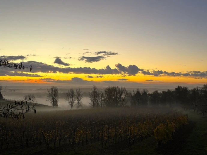 Domaine de Guillau, lieu-dit Saint-Julien